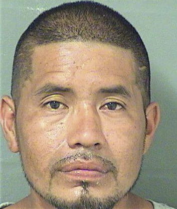 Kevin Paizgarcia, - Palm Beach County, FL 